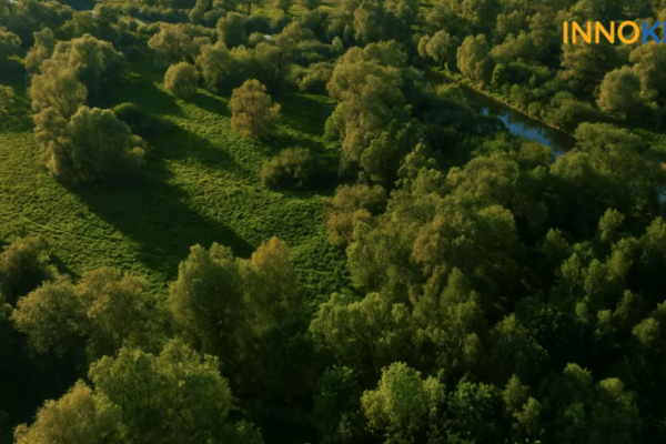 GREEN TRANSFORMATION custom software by INNOKREA